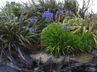 Albums/20060200-New Zealand 2006/20060313-Catlins/66